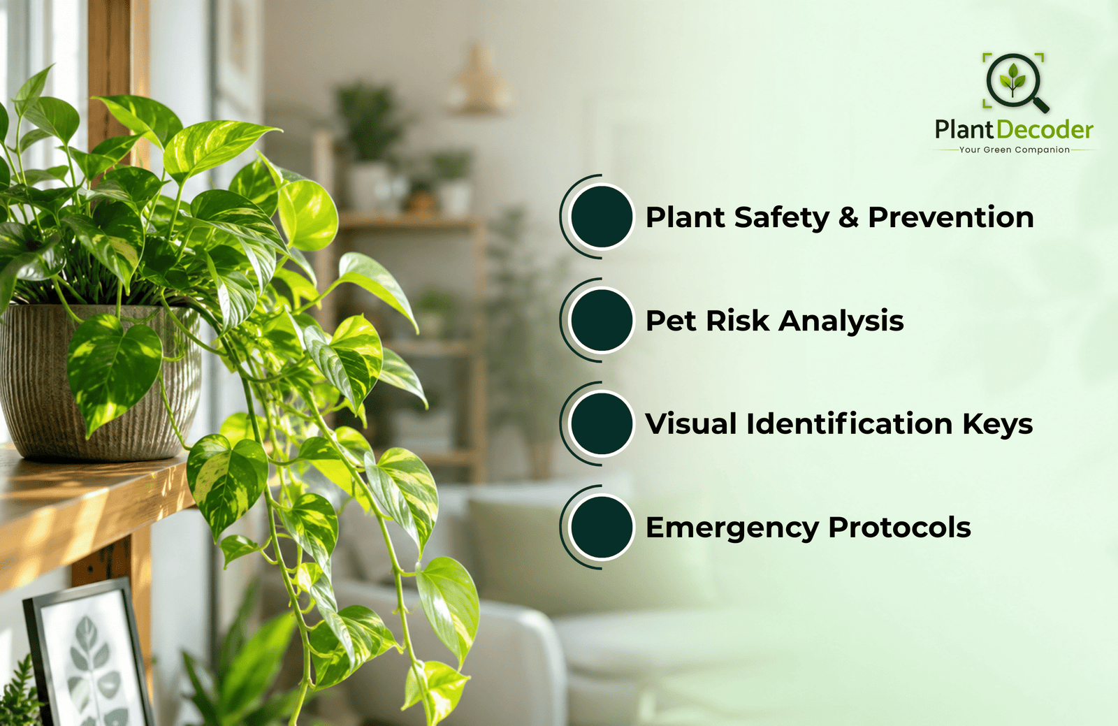 How to identify If houseplant is toxic